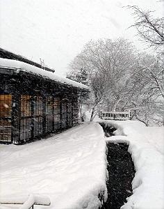 Nagoya - Excursion a Shirakawa via Takayama - 120